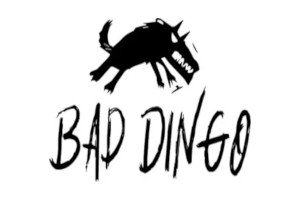 Bad Dingo logo, slot game provider