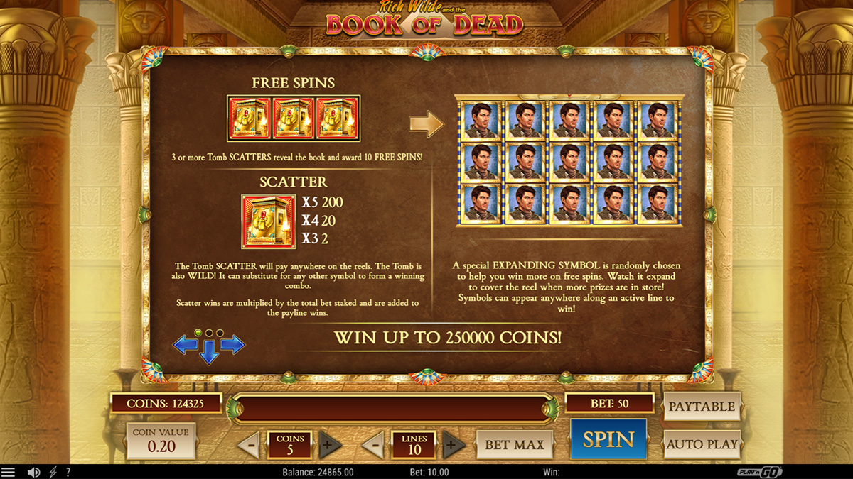 Book of Dead slot game courtesy of Netent, showing free spins instructions